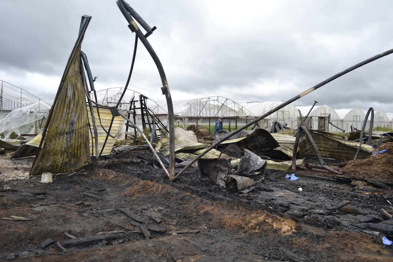 В реанимации умер пятый работник тепличного комплекса, сгоревшего в Шабалино