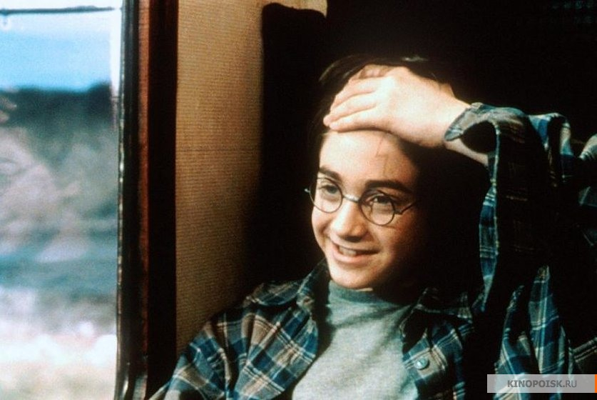 Тест в честь дня рождения Гарри Поттера: кто есть кто