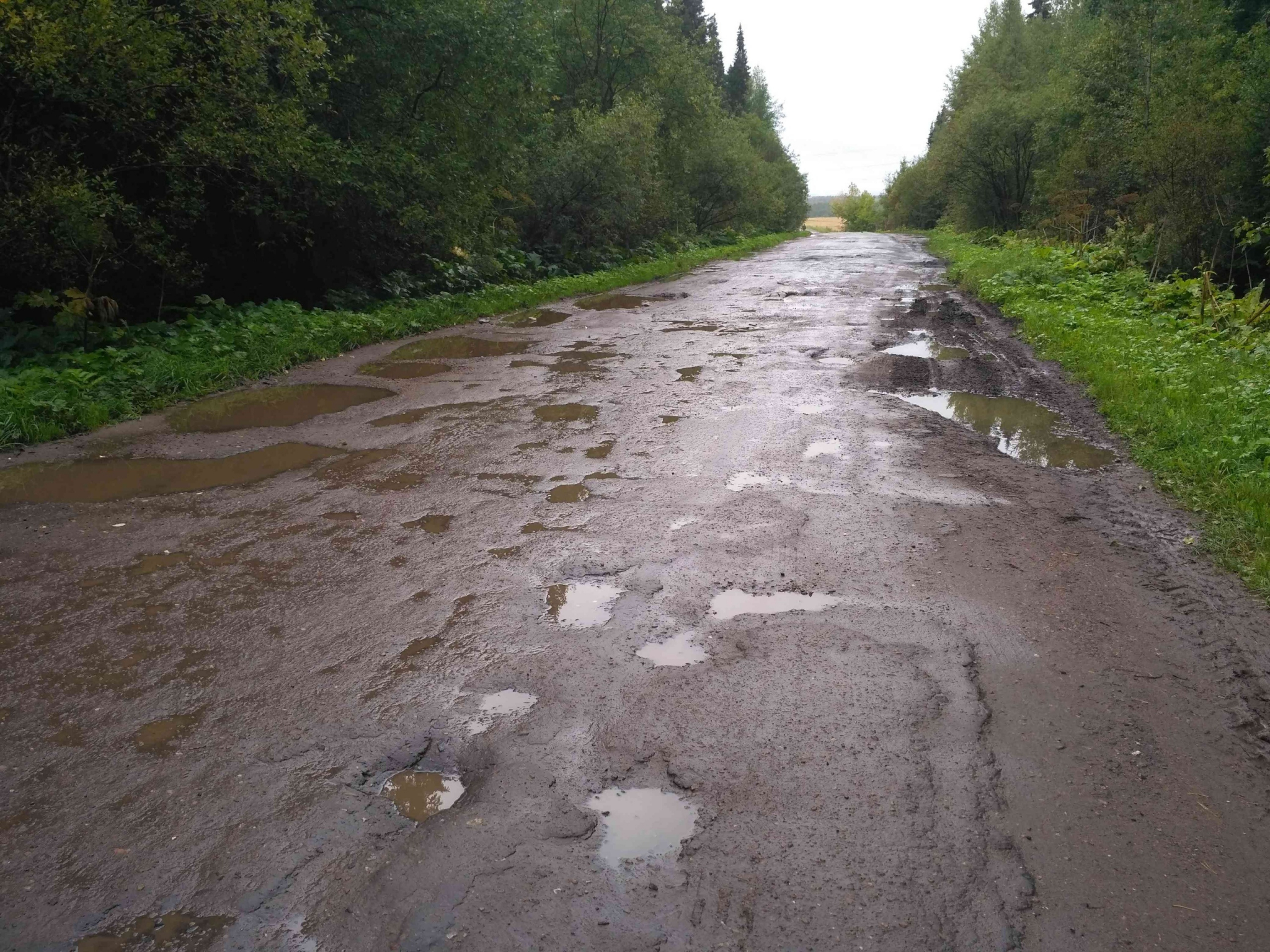 В Кирове чиновники превратили асфальтированную дорогу в грунтовую