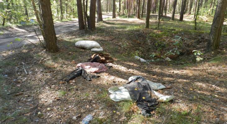 Убийца прятал труп с матерью и сыном: в лесу под Котельничем нашли тело женщины