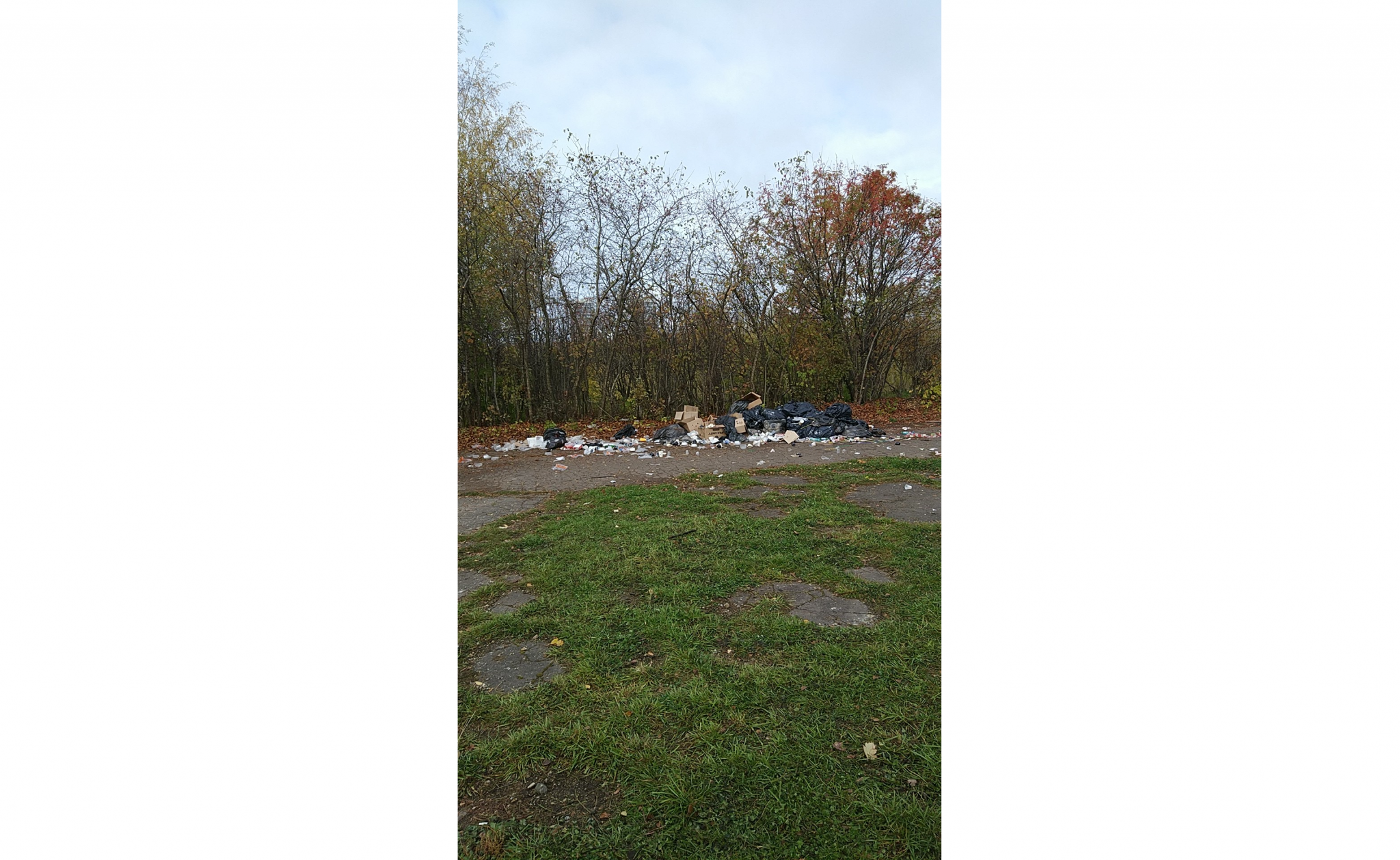 Кучи мусора после праздника в парке у Дворца пионеров не убирают два дня