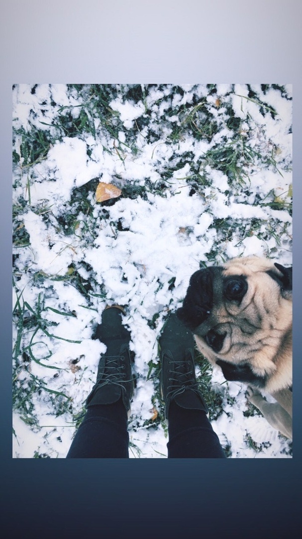 Фоторепортаж из соцсетей: в Кировской области выпал снег