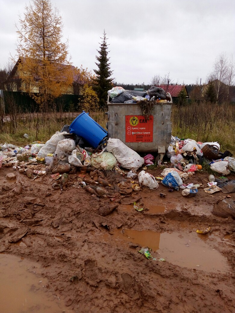 Переполненные урны и баки: подборка жалоб кировчан о самых грязных местах в городе