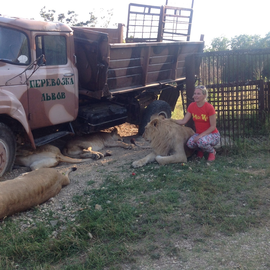 Директор парка львов «Тайган» не явился на суд с кировчанкой
