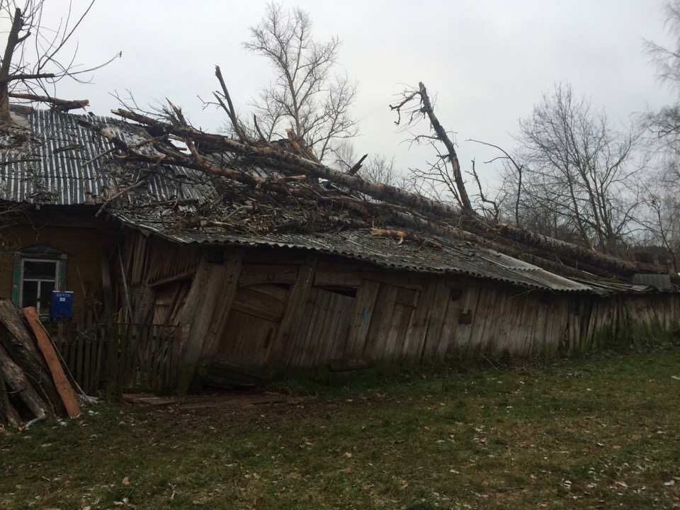 "Вот дров теперь будет на зиму": в Верхошижемье на дом пенсионеров рухнул тополь