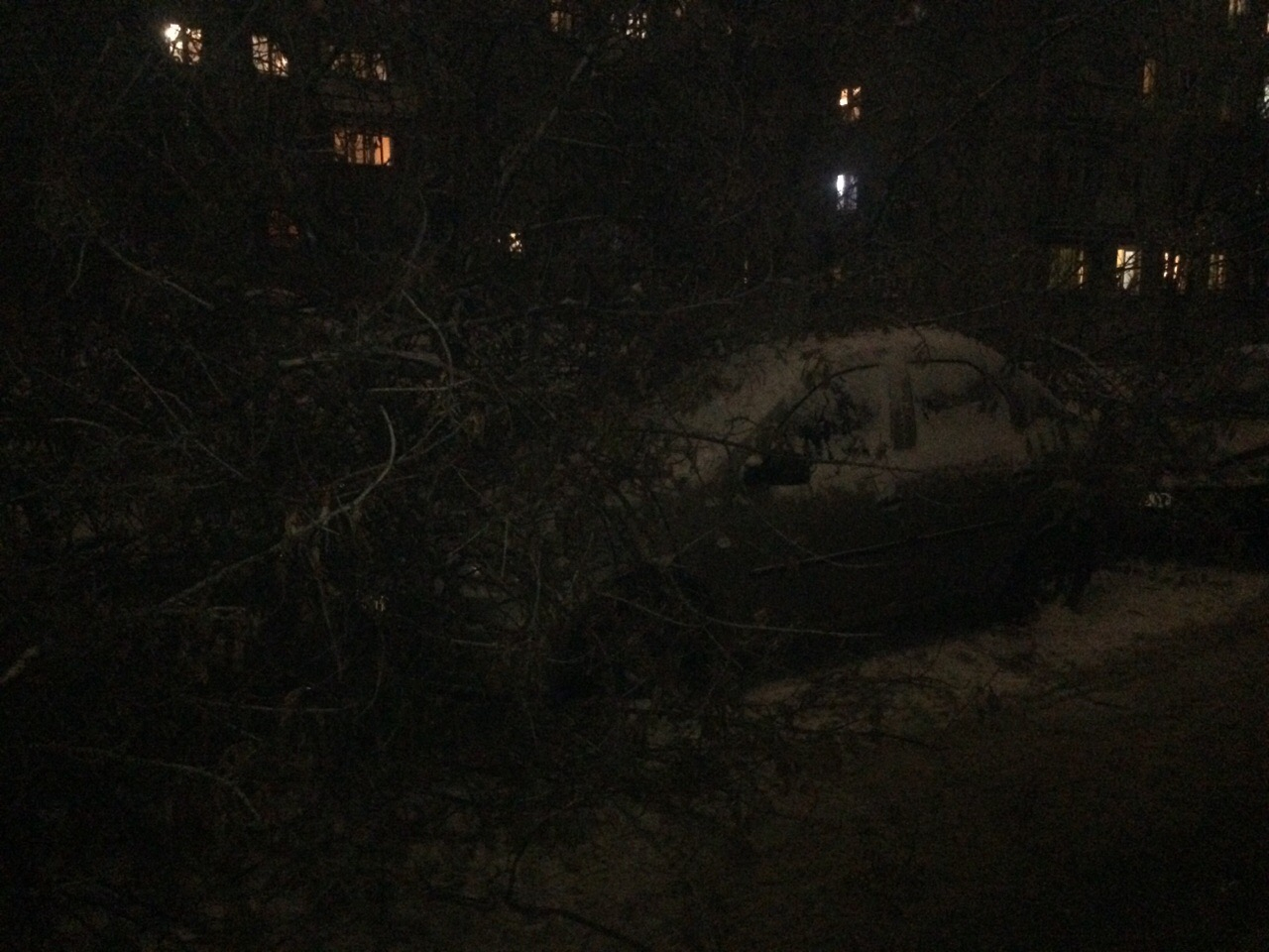В Кирове дерево упало на две машины
