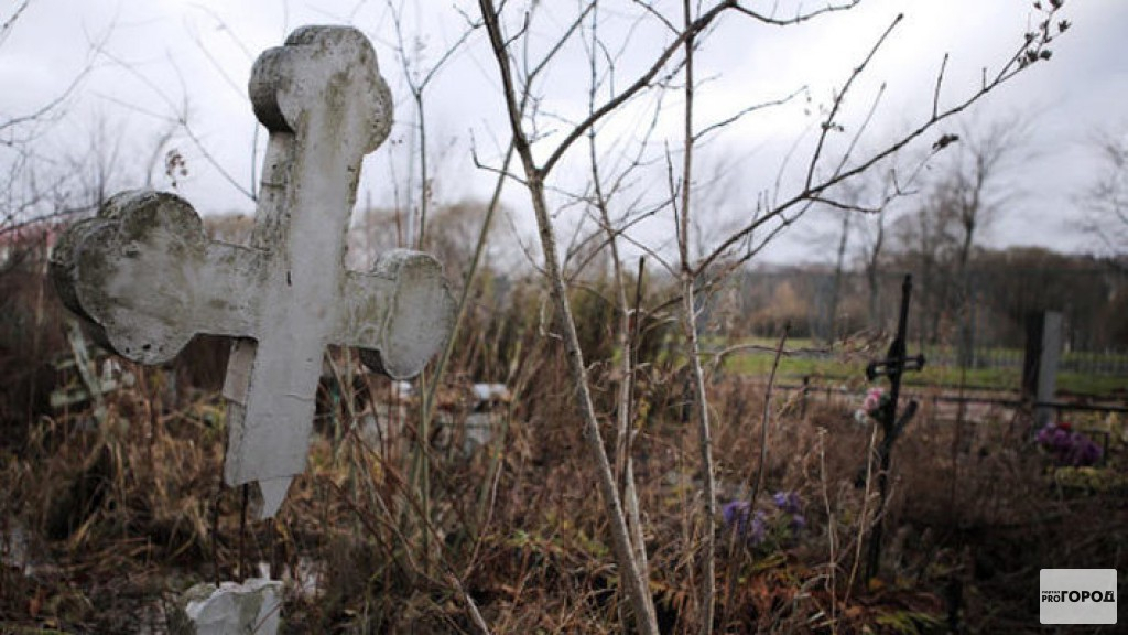 В Кировской области задержали вандала, который повредил 50 надгробных крестов