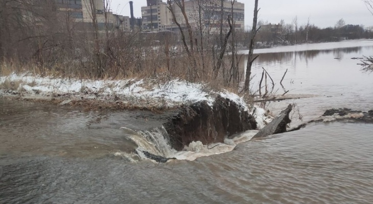 Бобры не виноваты: в министерстве лесного хозяйства назвали причину потопа на Луганском проезде