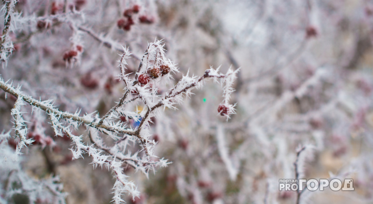 Сильный снегопад: прогноз погоды в Кирове на предстоящую рабочую неделю