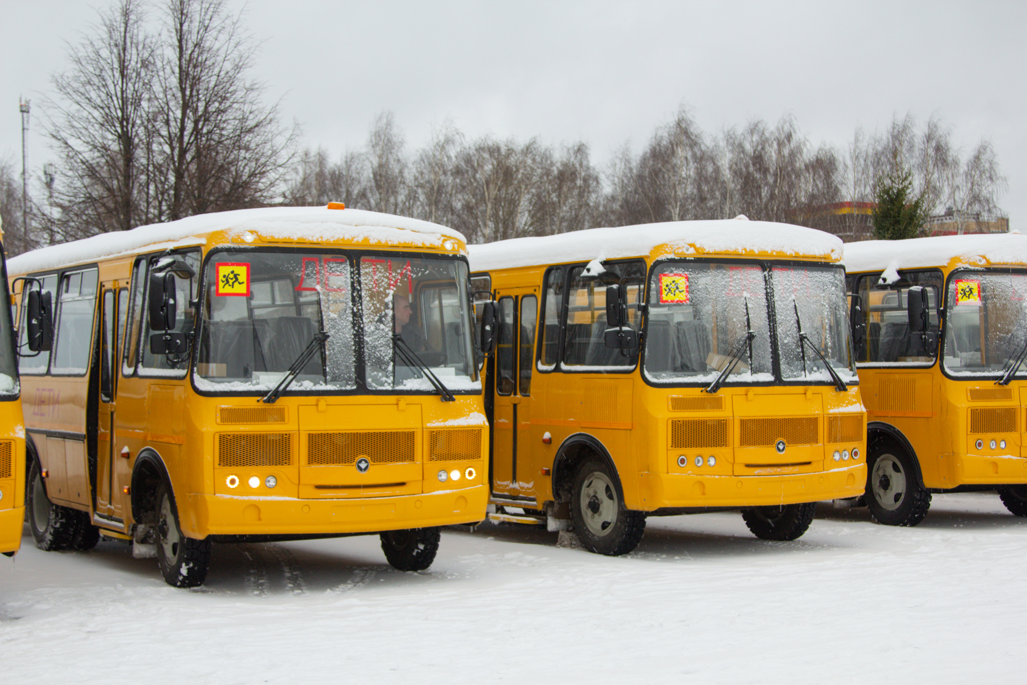 Известно, каким школам в Кировской области достанутся 17 новых автобусов
