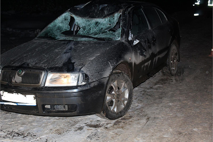 Житель Кировской области сбил лося на трассе: один человек госпитализирован