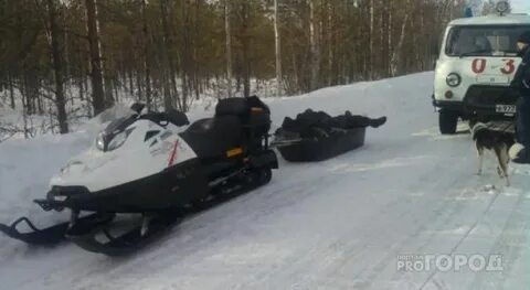 В Кировской области в ДТП со снегоходом погибли 2 человека