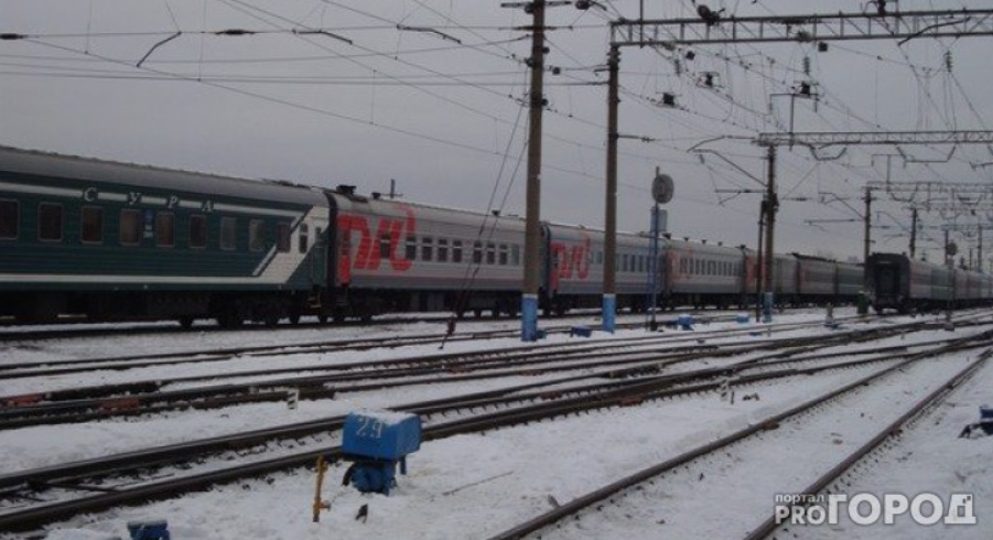 В Кировской области табун лошадей попал под грузовой поезд
