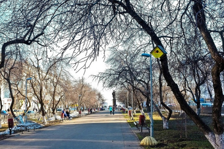 Погода в Кирове: на новой рабочей неделе будет тепло и пасмурно