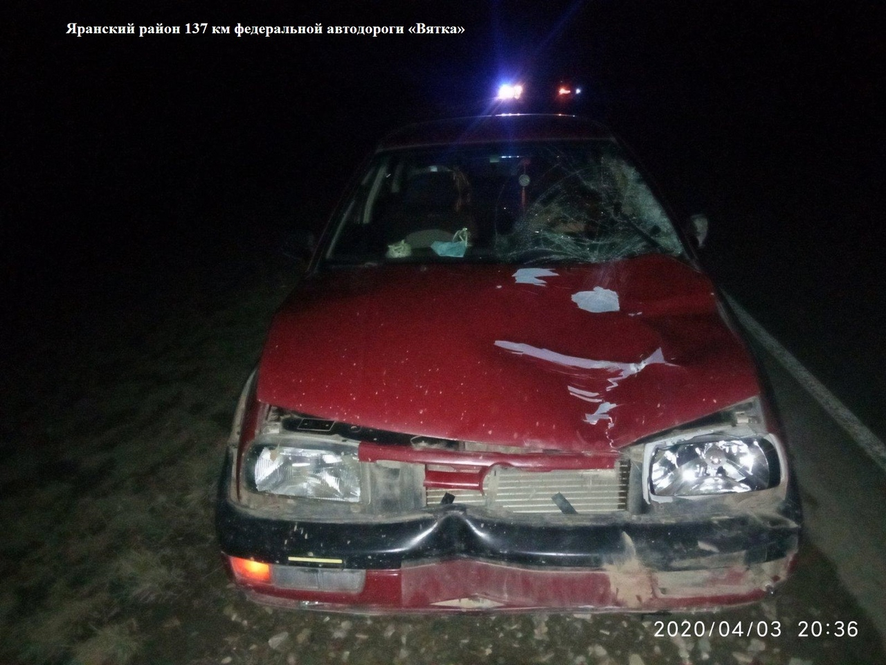 В Кировской области выбежавший на трассу лось спровоцировал двойное ДТП