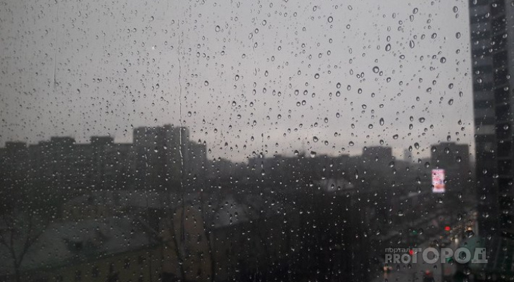 Пасмурно, дождь и гроза: известен прогноз погоды в Кирове на выходные