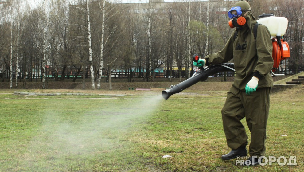 В Кирове парки и скверы начнут обрабатывать от клещей