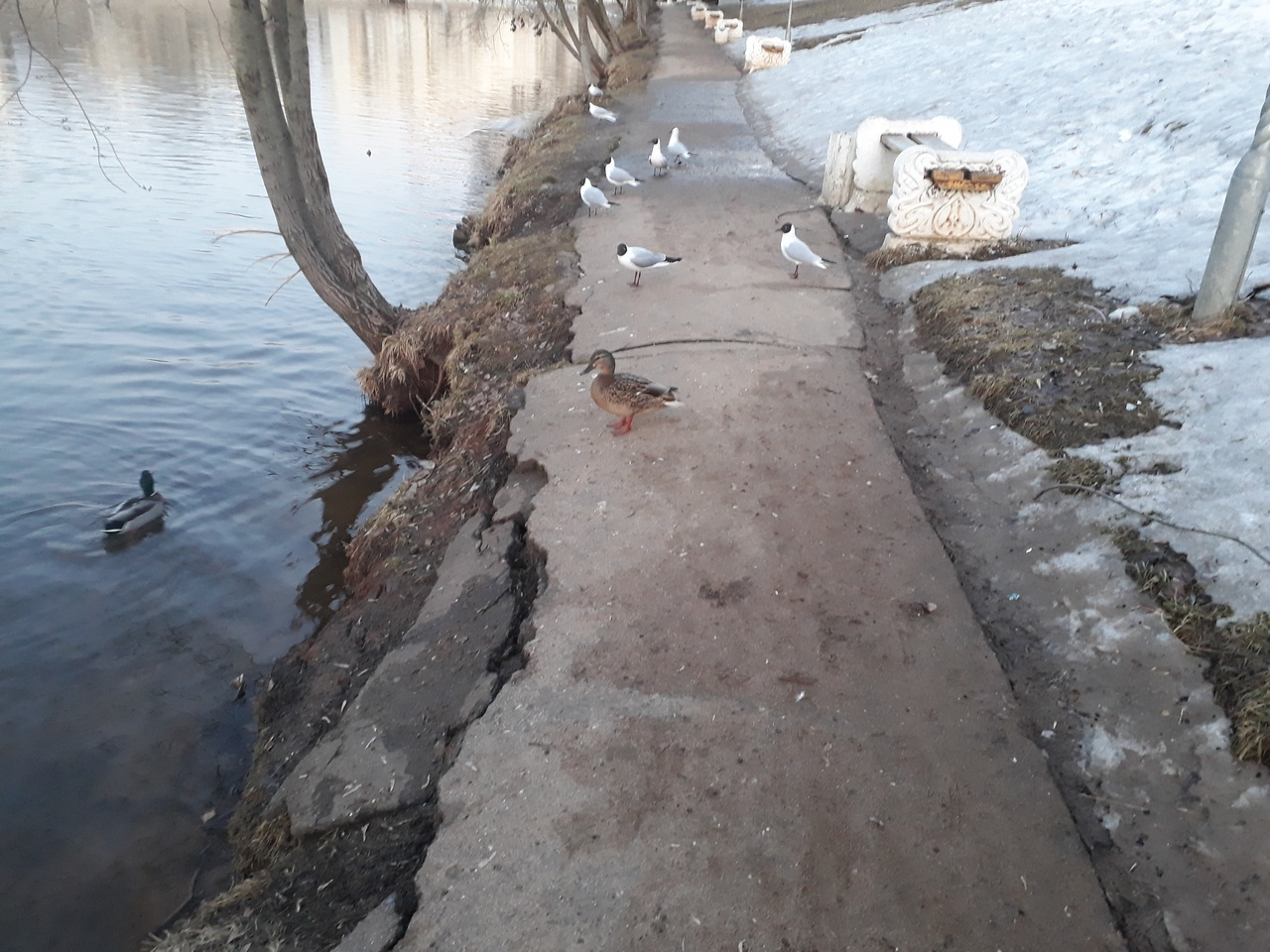 Разрушенные лестницы и обвалившиеся дорожки: горожане жалуются на состояние парка имени Кирова