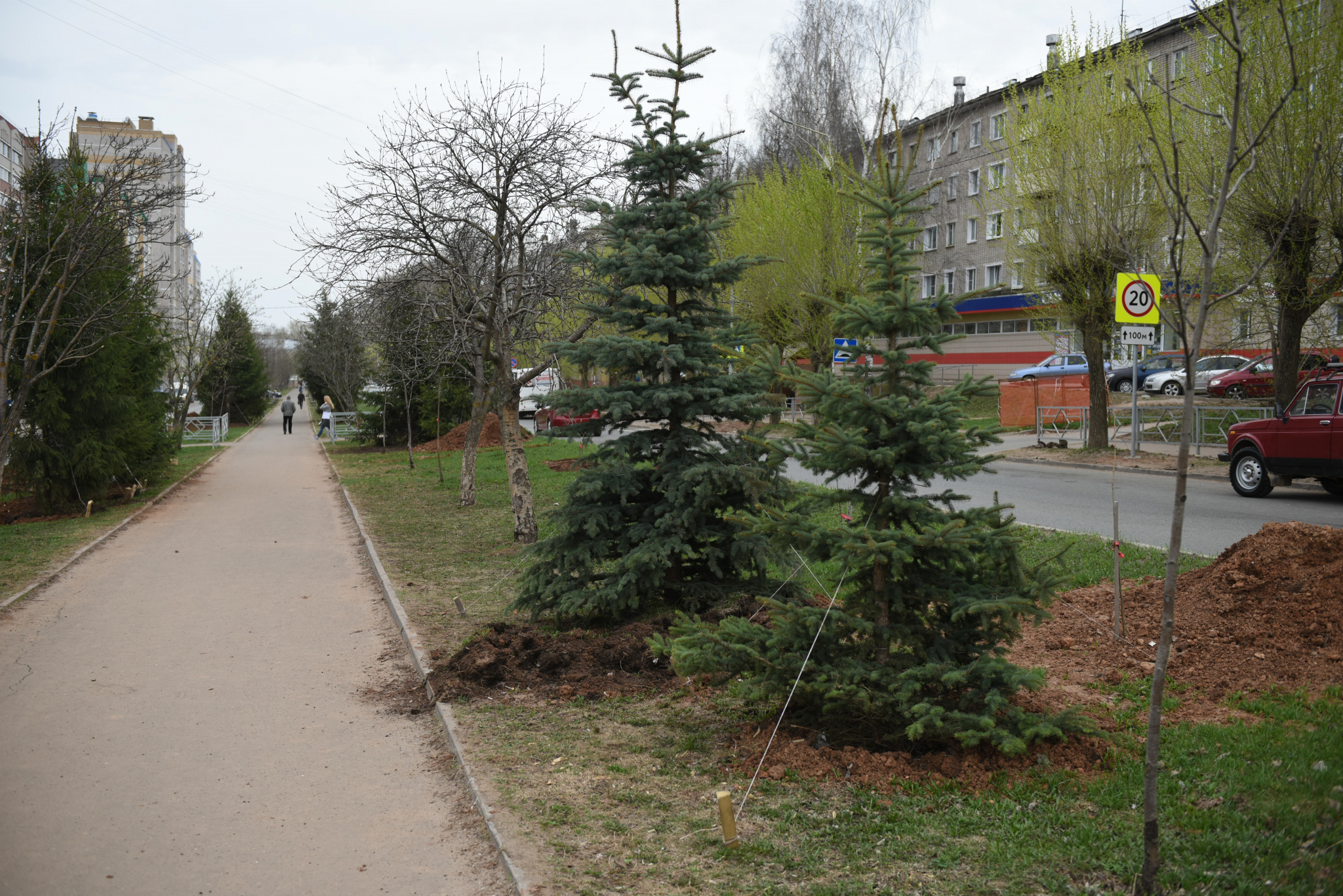 В администрации Кирова рассказали, почему выкопали ели у памятника Коневу