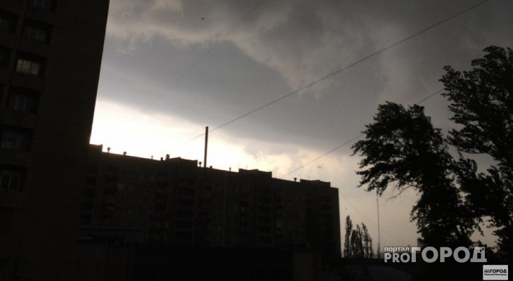 Жителей Кировской области предупреждают о штормовом ветре