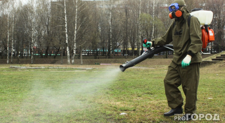 В Кировской области начали санитарную обработку остановок, парков и детских площадок