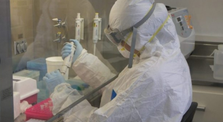 Специалист Минздрава назвала сроки завершения пандемии коронавируса