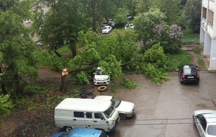 Деревья на машинах и остановка без крыши: последствия сильного ветра в выходные в Кирове