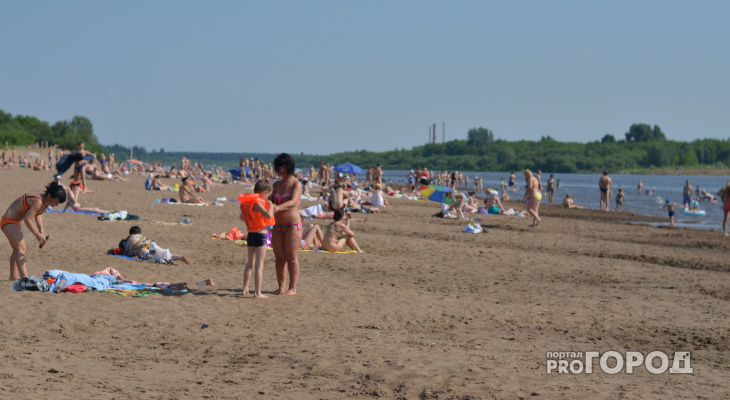 Синоптики: в Кировской области может установиться жара до +38 градусов