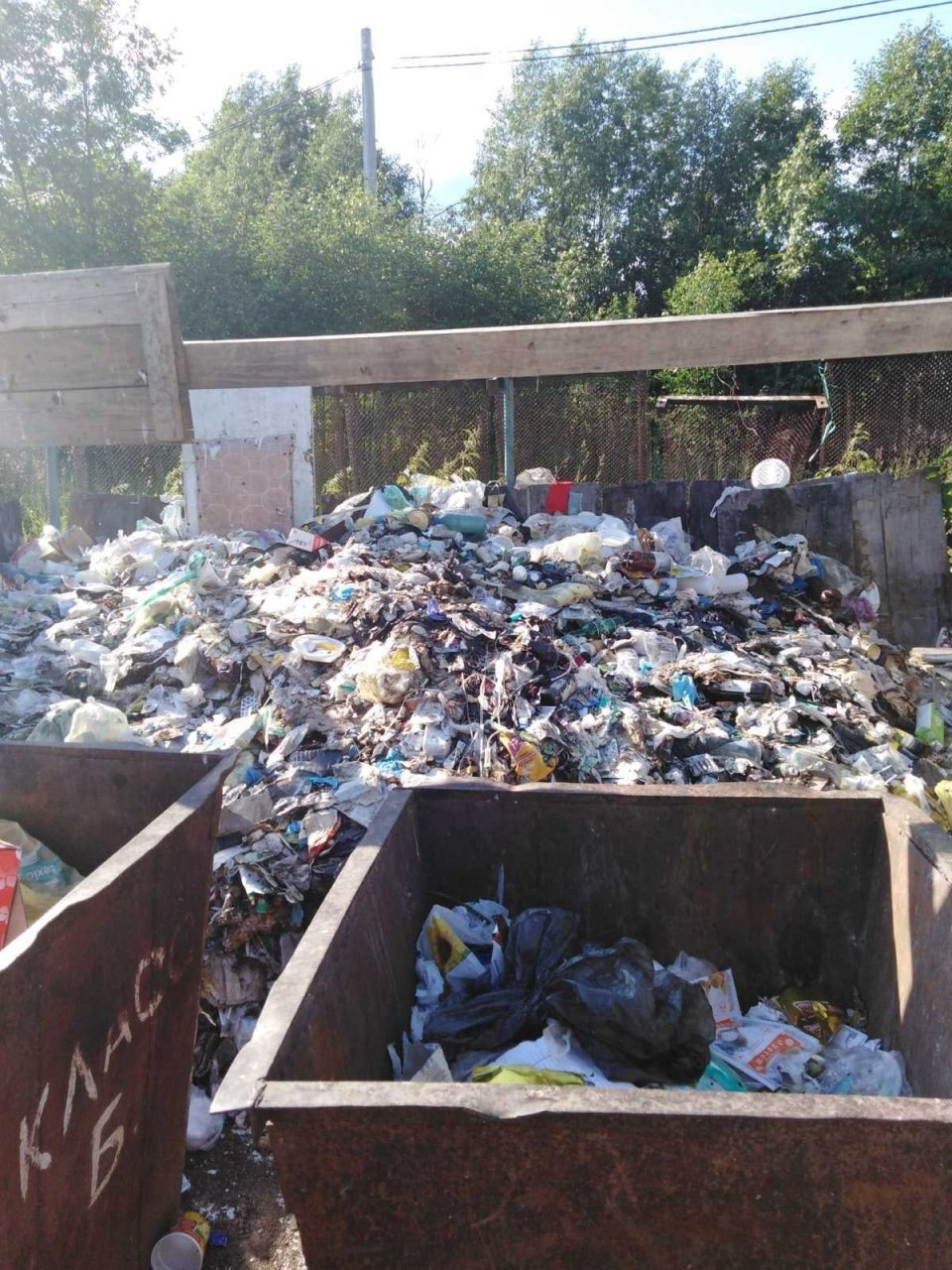 Шприцы и перчатки лежат годами: жители Демьяново просят прокуратуру решить вопрос стихийной свалки медицинских отходов