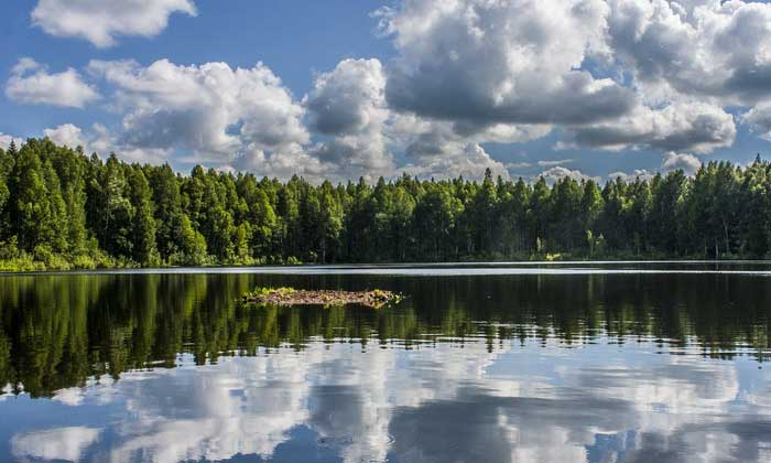 Грибники и рыбаки из Кировской области «раскрыли» лучшие места в регионе