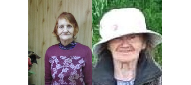 В Кировской области ищут двух пропавших в лесу пенсионерок