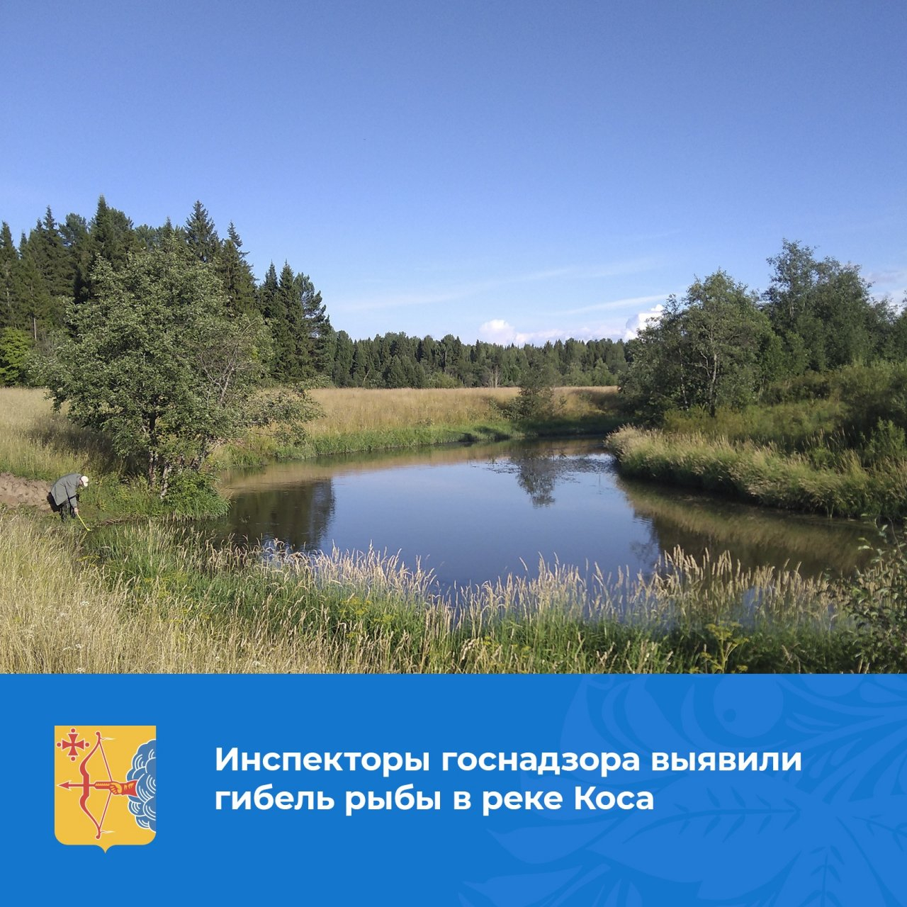 В одной из рек Кировской области массово начала погибать рыба