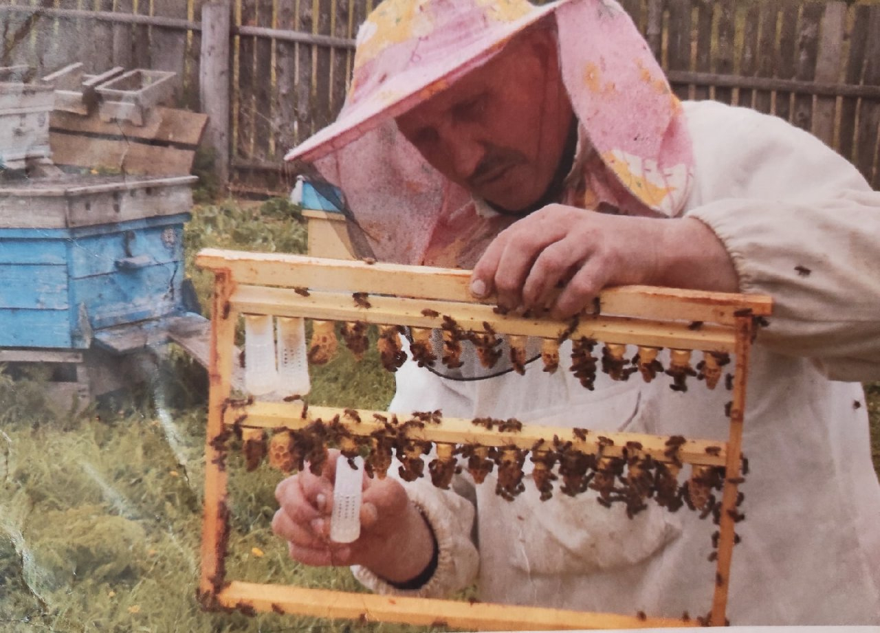"Чтобы проверить мед, нужна прохладная вода": пчеловод о секретах пасеки