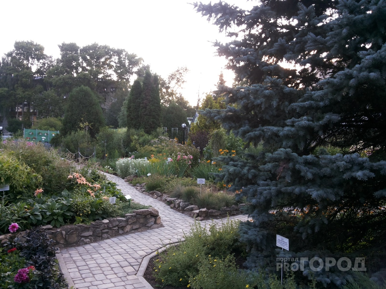За фото на территории - 5200 рублей в час: кировчан возмутило объявление на входе в Ботанический сад