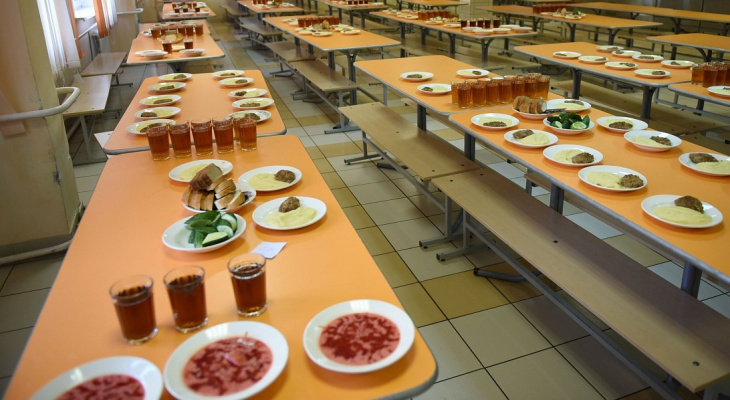 В минобре открыли «горячую линию» по вопросам бесплатного питания в начальной школе