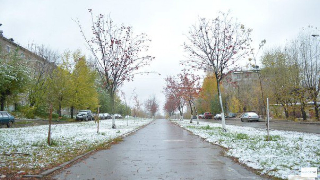 Народный синоптик рассказал, когда в Кирове выпадет снег