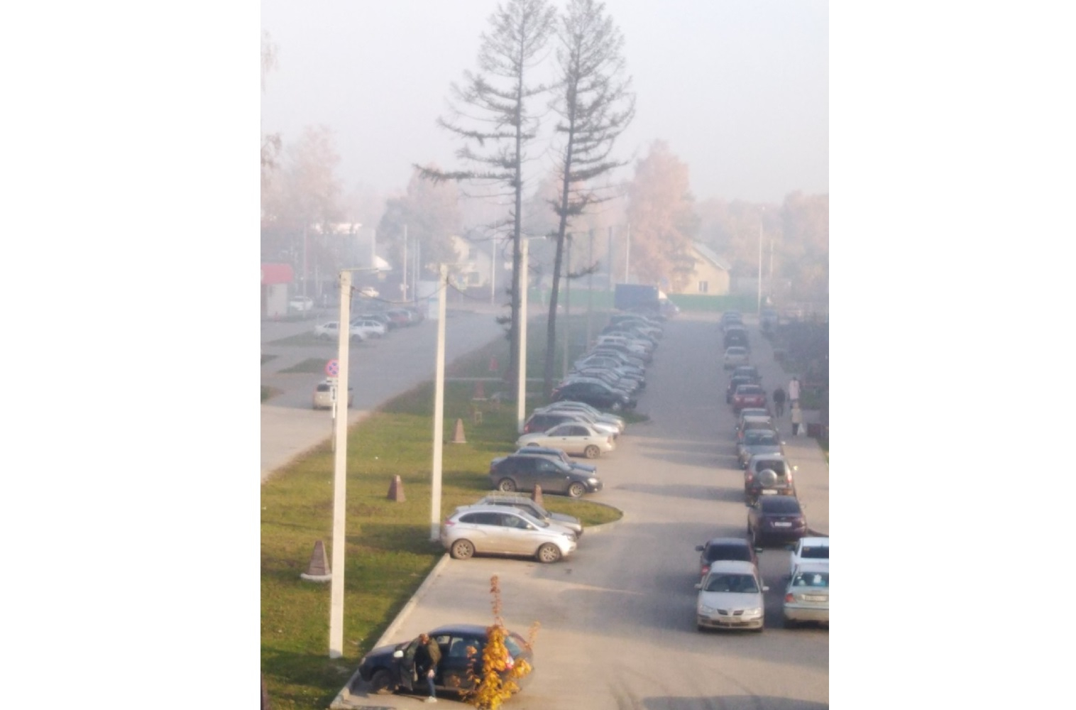 «Скажем нет задымлению нашего воздуха»: жители Озерков собирают подписи из-за смога и запаха гари в микрорайоне