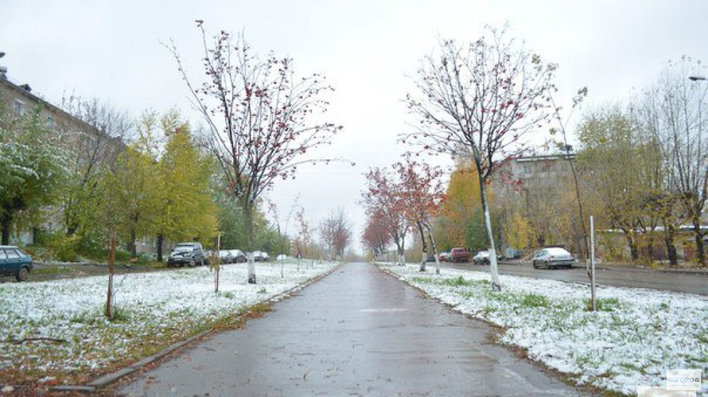 В Кировской области ожидается резкое потепление: прогноз погоды на неделю