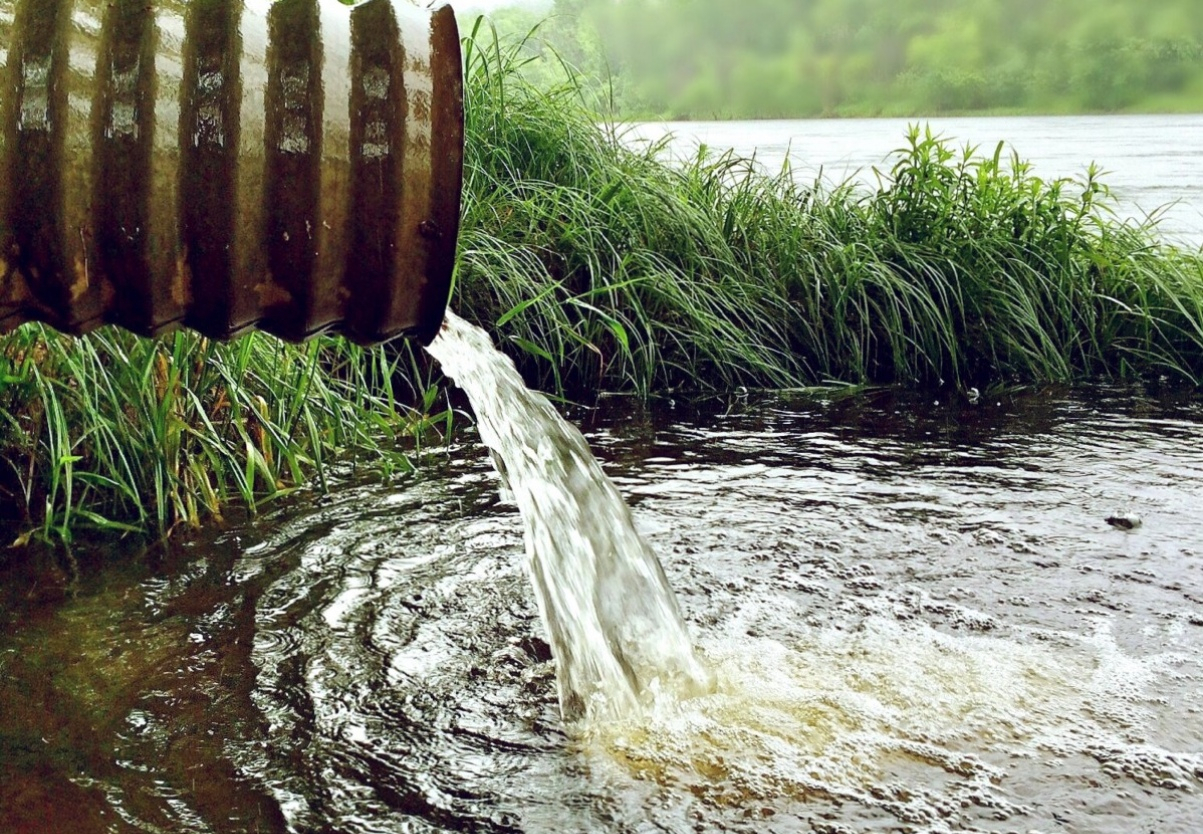 В Кировской области на участок мужчины несколько лет сливали сточные воды