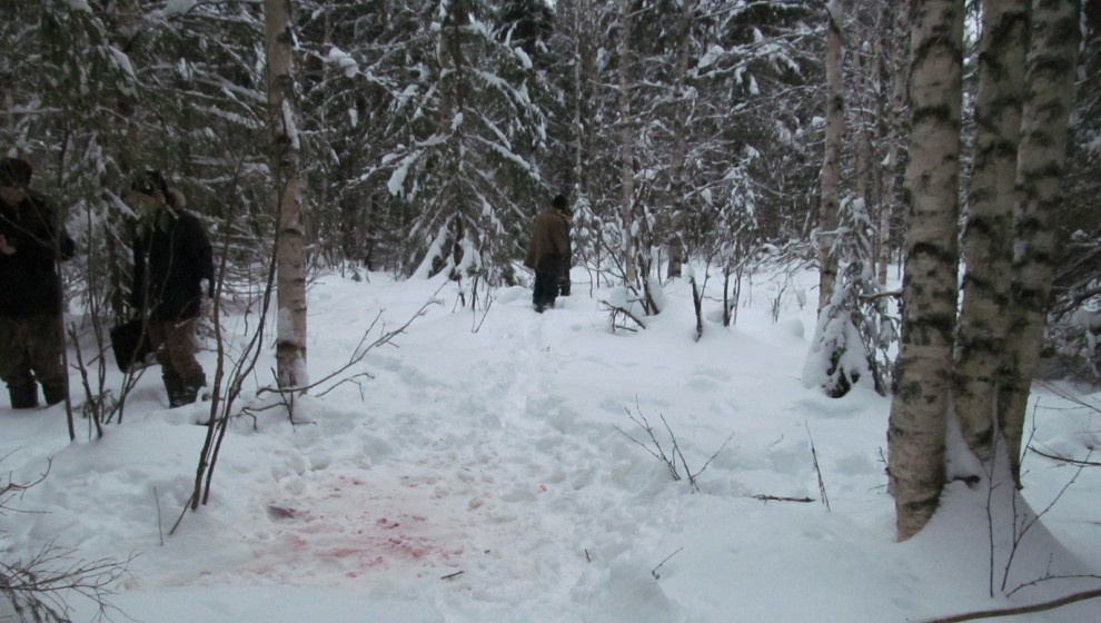 В Кировской области мужчина на охоте вместо кабана застрелил пенсионера