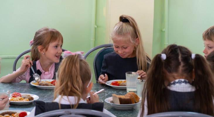 В Кирове приостановлена оплата питания детей в школах по транспортным картам