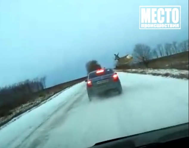 Видео: в Кировской области перебегающие дорогу косули чуть не спровоцировали ДТП