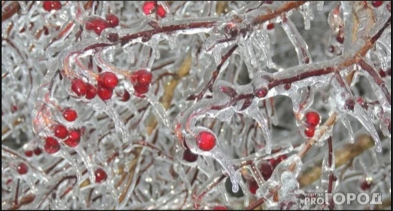 Синоптики опубликовали прогноз погоды в Кирове на выходные, 5-6 декабря