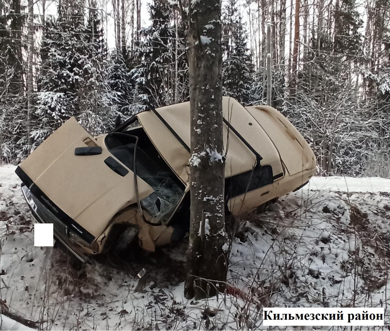 В Кировской области ВАЗ въехал в дерево: два человека погибли