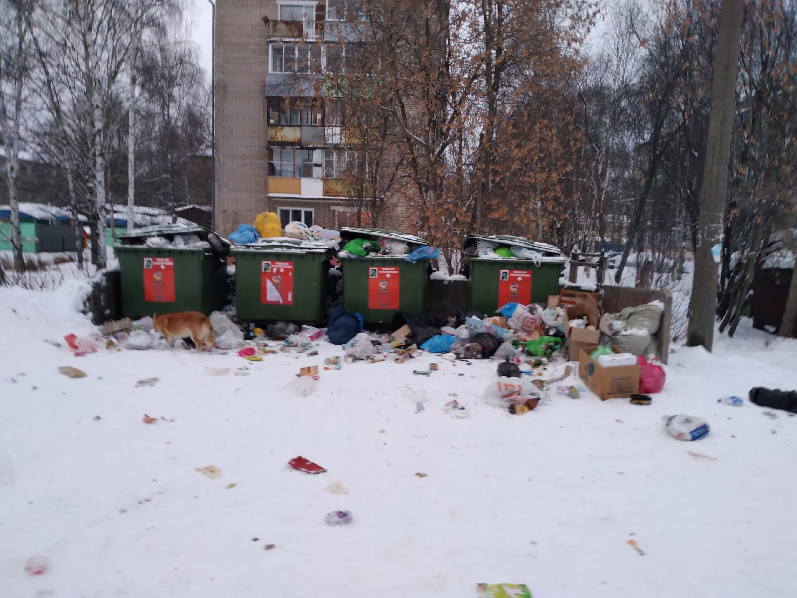 "Куприт" прокомментировал мусорный коллапс в Кирове