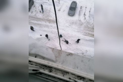 В Слободском рабочий упал с высоты пятого этажа во время чистки крыши от снега