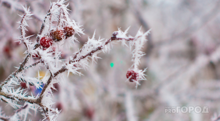 Что обсуждают в Кирове: самый холодный за 10 лет февраль и видео падения рабочего с крыши
