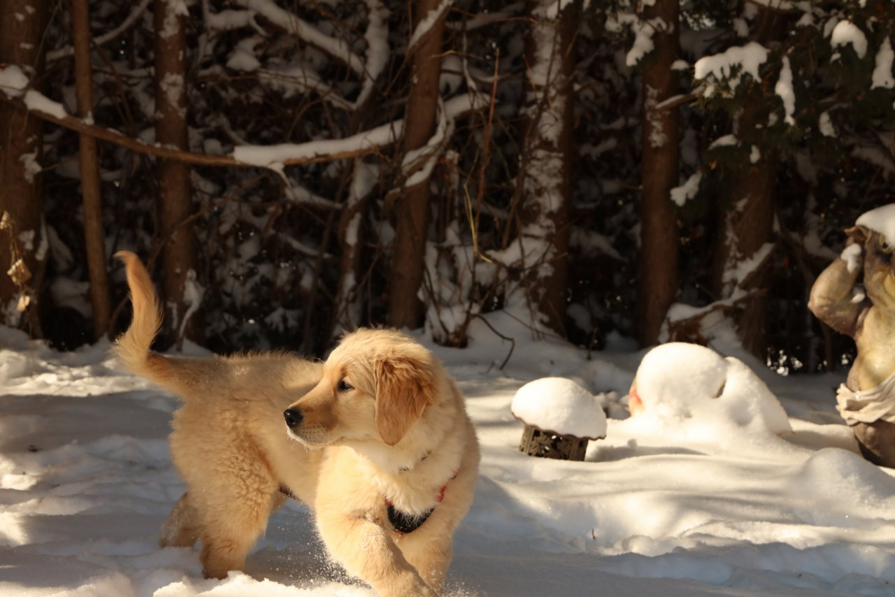 Раки смогут отдохнуть, а Весы останутся в одиночестве: гороскоп на четверг