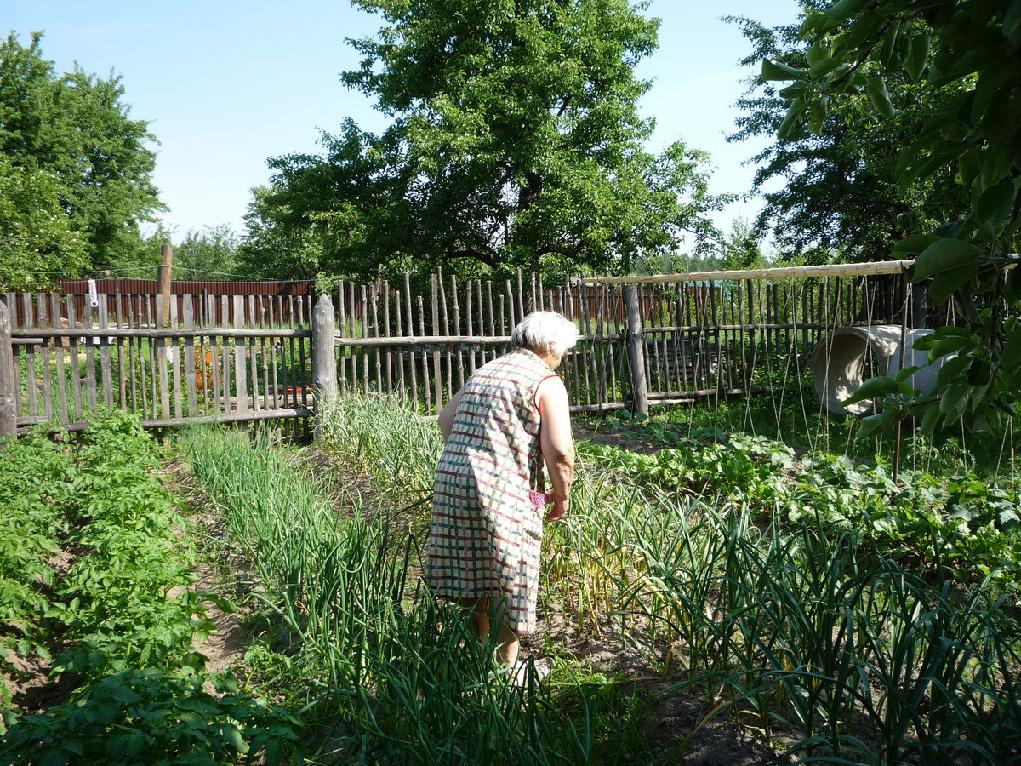 В Кировской области пенсионерка платила аренду за собственную землю