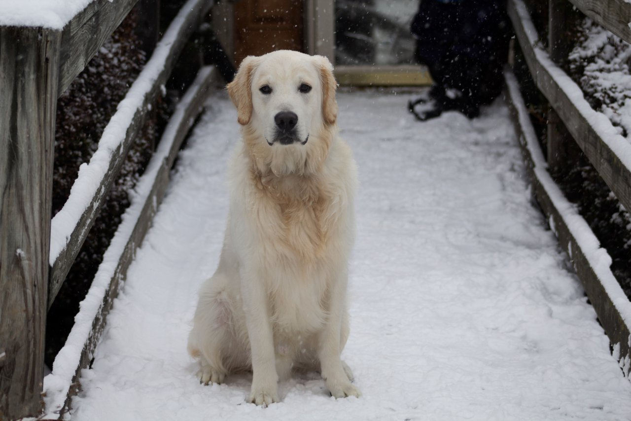 Овны достигнут цели, а Ракам нужно быть внимательнее к мелочам: гороскоп на четверг